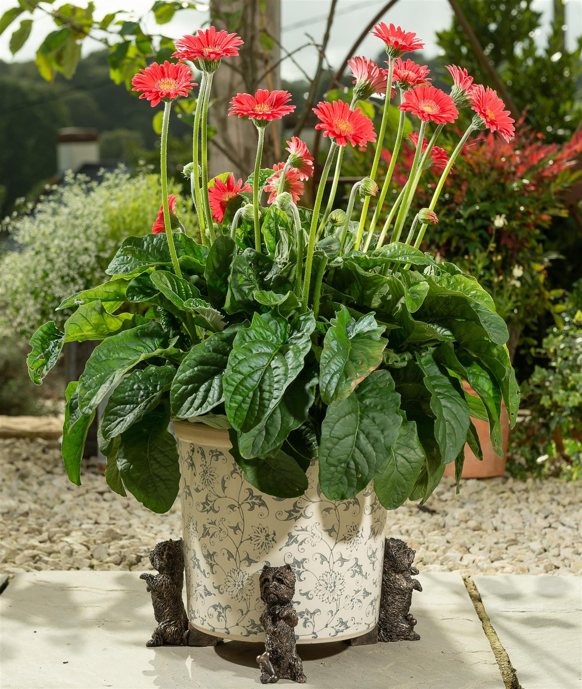 West Highland Terrier Plant Pot Feet - Set of 3