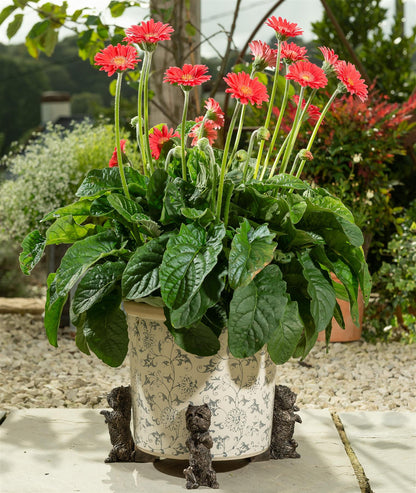 West Highland Terrier Plant Pot Feet - Set of 3