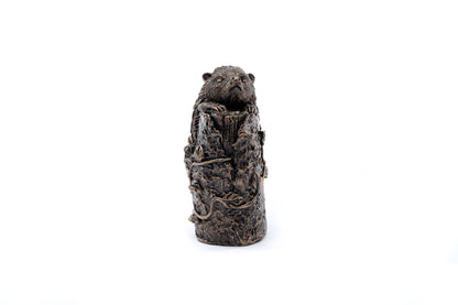 Hedgehog Plant Drip Feeder Cover & Feed