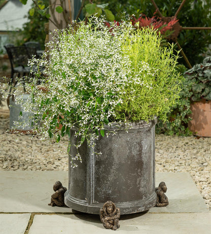 Orangutan Plant Pot Feet - Set of 3