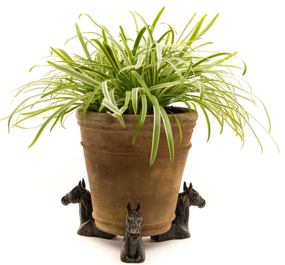 Horse Plant Pot Feet - Set of 3