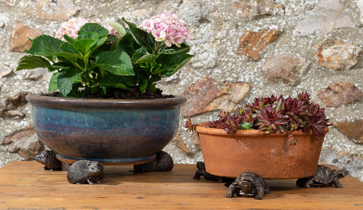 Tortoise Plant Pot Feet - Set of 3