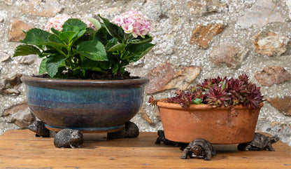 Tortoise Plant Pot Feet - Set of 3
