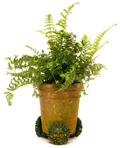 Green Man Plant Pot Feet - Set of 3