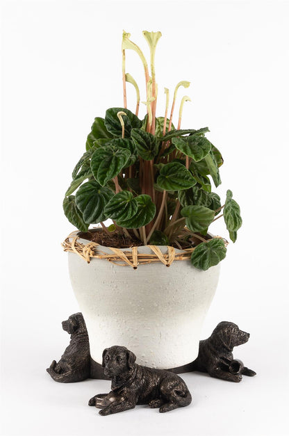 Resting Labrador Plant Pot Feet - Set of 3