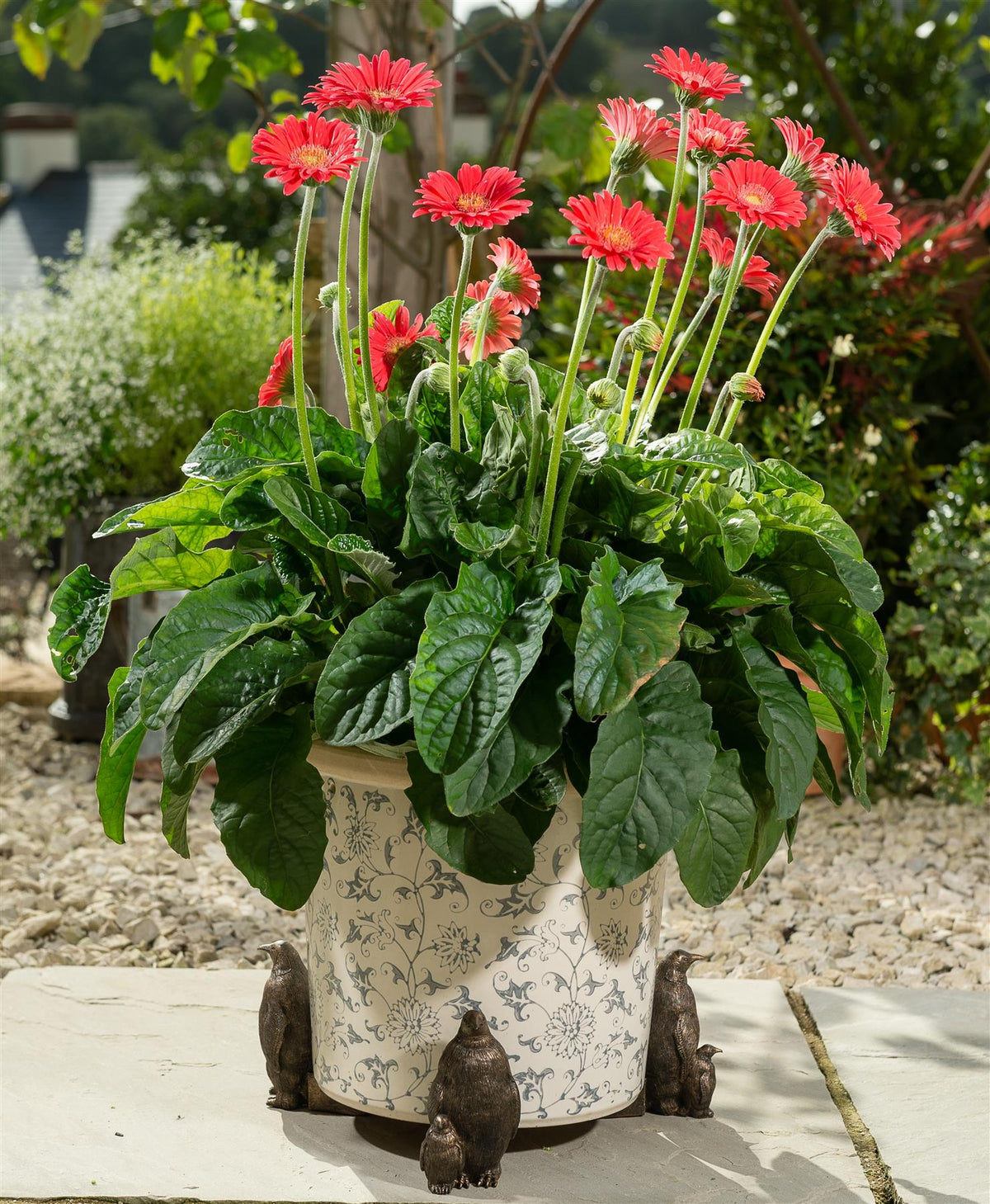 Emperor Penguin Plant Pot Feet - Set of 3