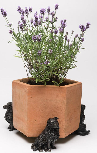 Border Collie Plant Pot Feet - Set of 3