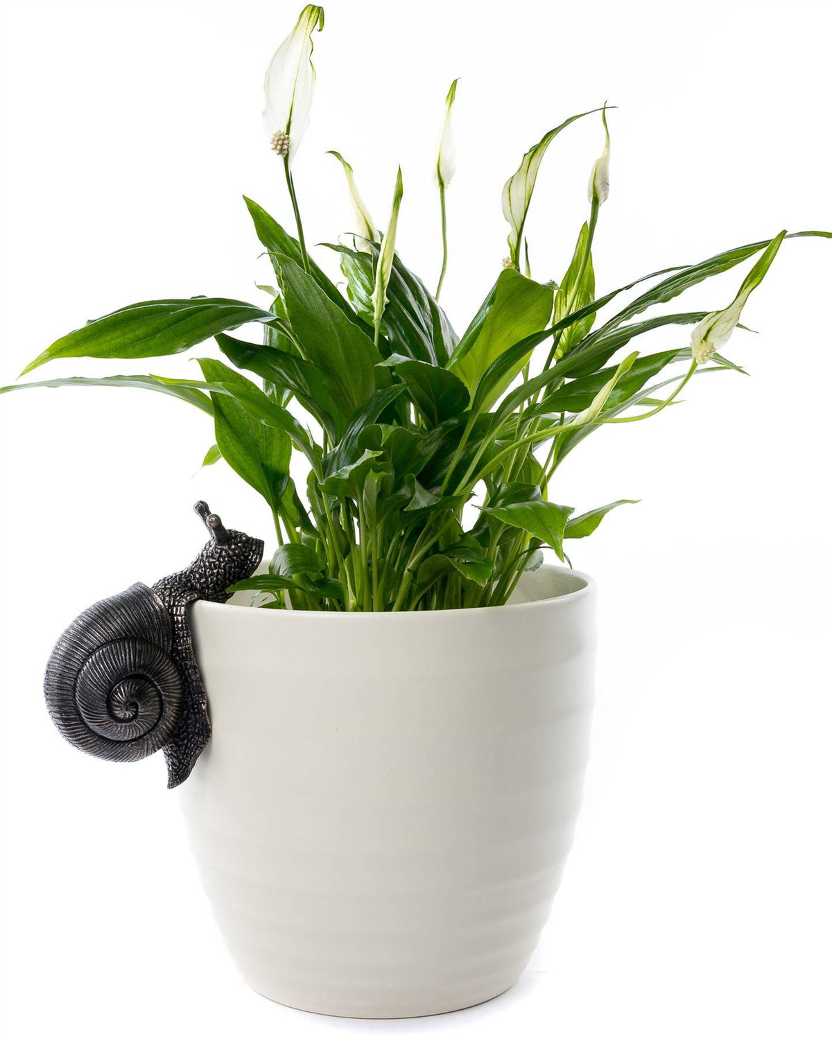 Snail Plant Pot Hanger