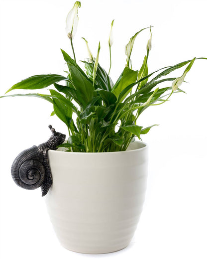 Snail Plant Pot Hanger