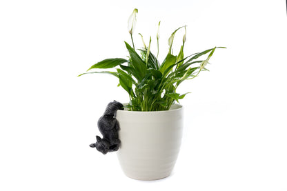 Red Squirrel Plant Pot Hanger