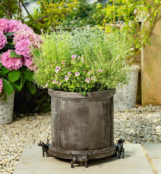 Beagle Plant Pot Feet - Set of 3