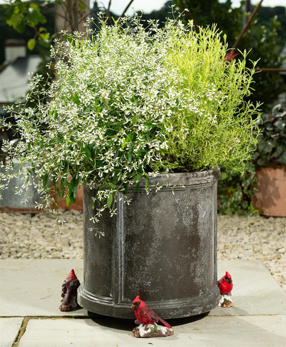 Red Cardinal Bird Plant Pot Feet - Set of 3