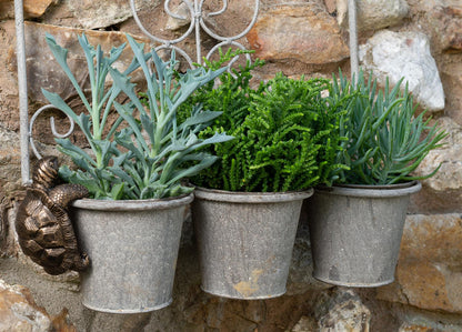 Tortoise Plant Pot Hanger
