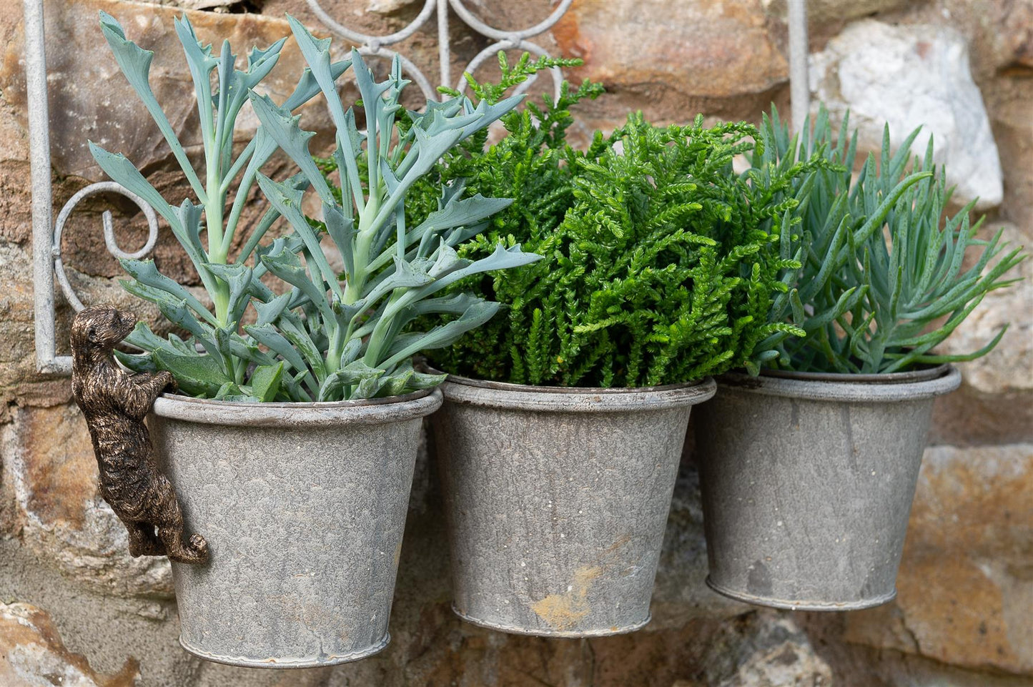 Meerkat Plant Pot Hanger