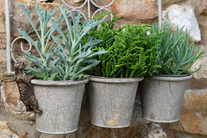 Meerkat Plant Pot Hanger