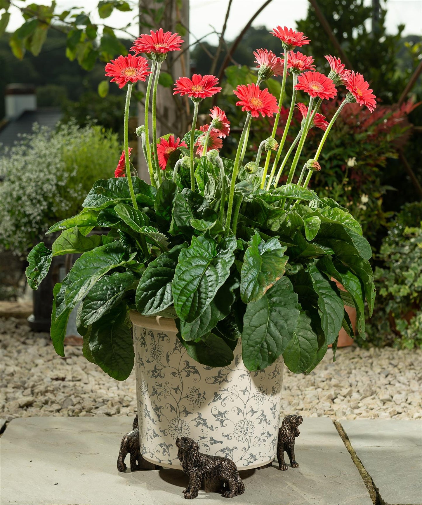 Cavalier King Charles Spaniel Plant Pot Feet - Set of 3
