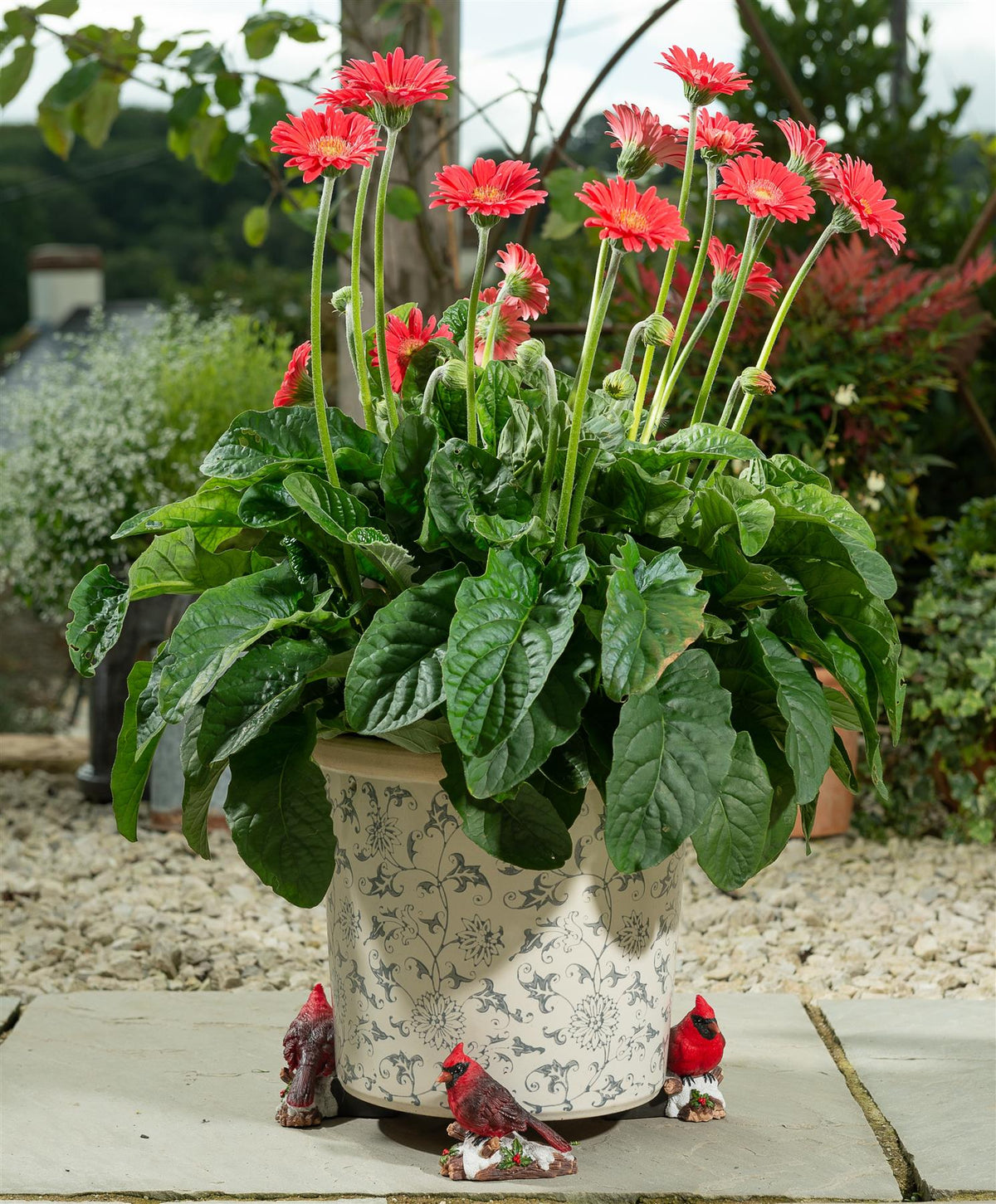 Red Cardinal Bird Plant Pot Feet - Set of 3