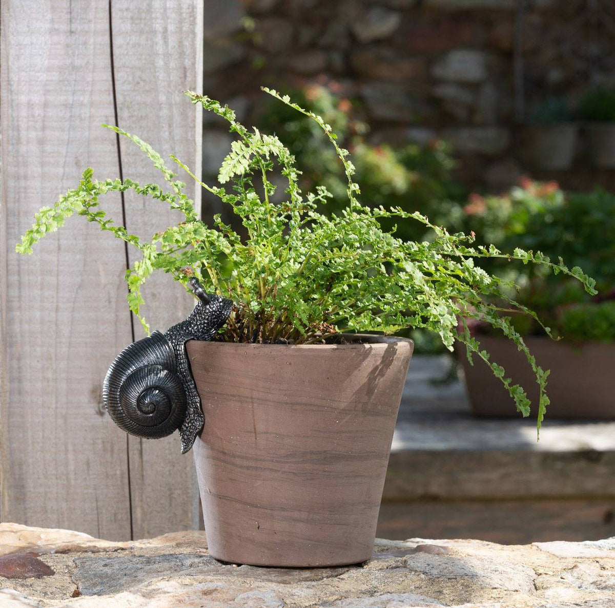 Snail Plant Pot Hanger