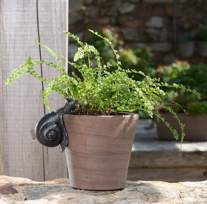 Snail Plant Pot Hanger