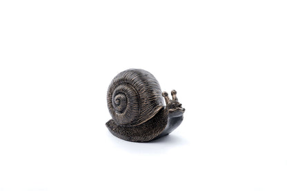 Snail Plant Drip Feeder Cover & Feed