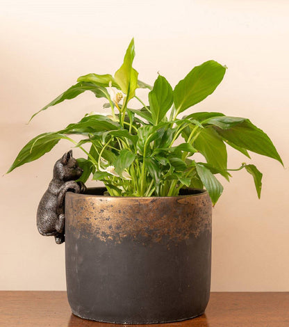 Cat Plant Pot Hanger