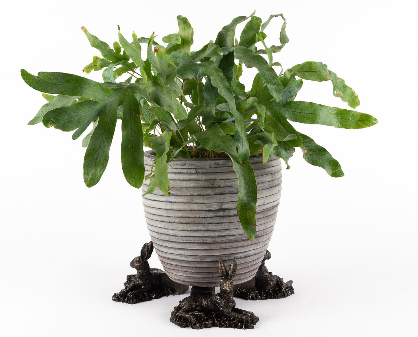 Resting Hare Plant Pot Feet - Set of 3