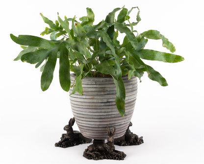 Resting Hare Plant Pot Feet - Set of 3