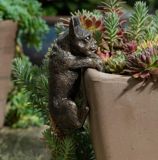 French Bulldog Plant Pot Buddy