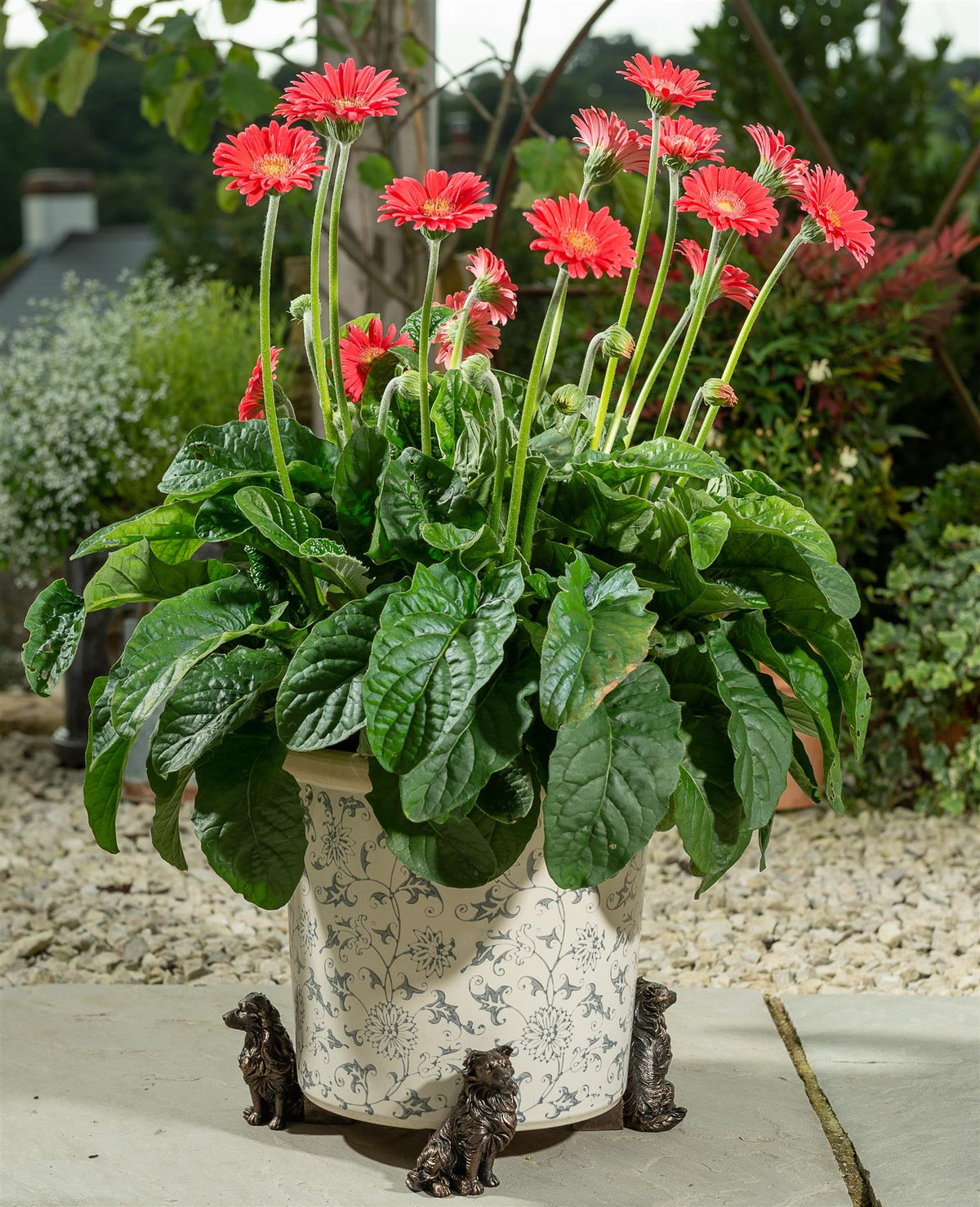 Border Collie Plant Pot Feet - Set of 3