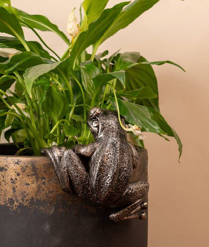 Frog Plant Pot Hanger