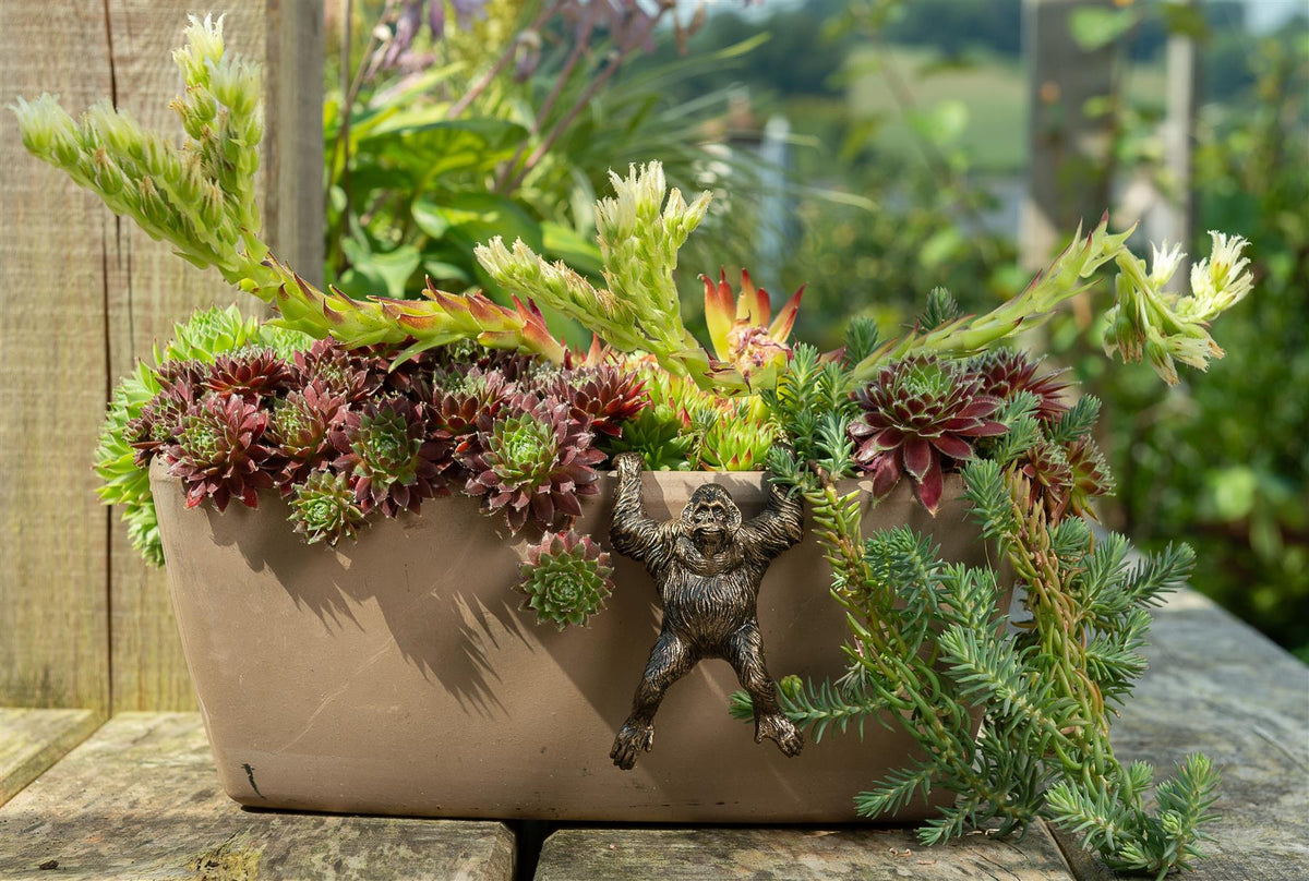 Orangutan Plant Pot Hanger