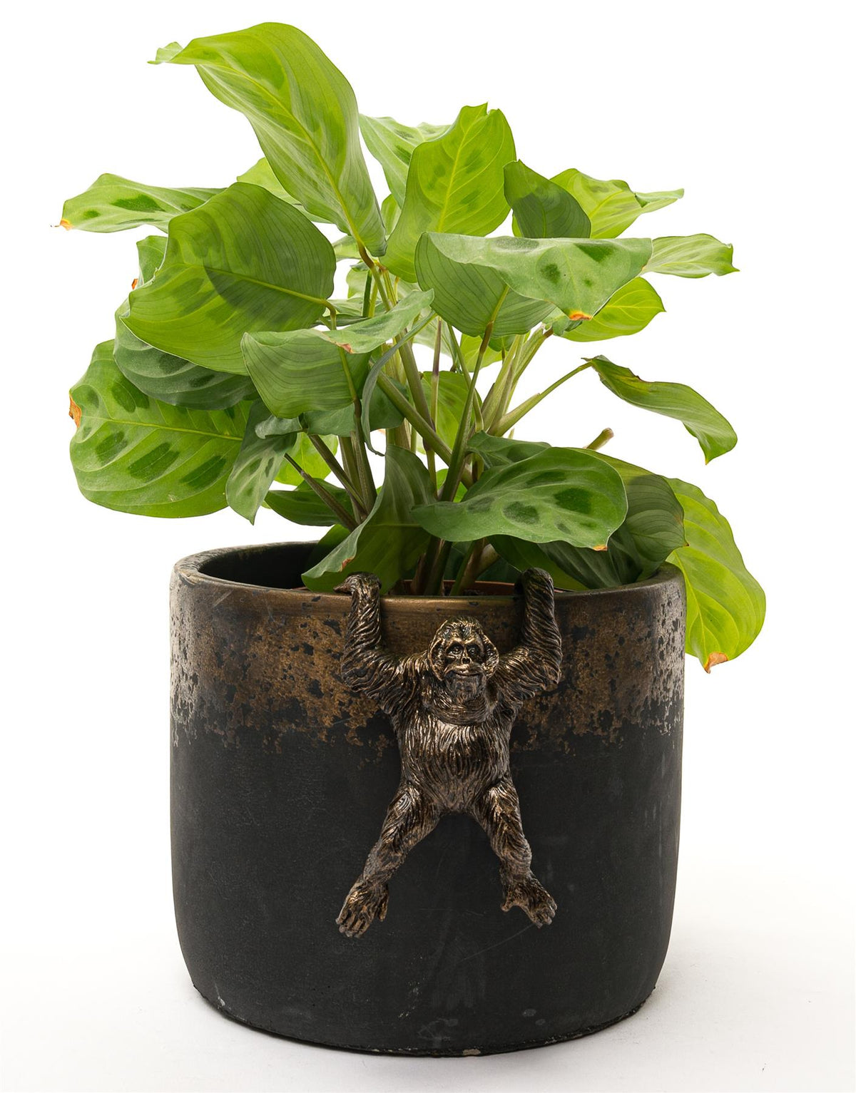 Orangutan Plant Pot Hanger