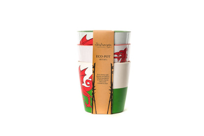 Bamboo Eco-Pots Flags Wales - The Red Dragon Welsh flag- Set of 3