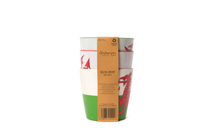 Bamboo Eco-Pots Flags Wales - The Red Dragon Welsh flag- Set of 3